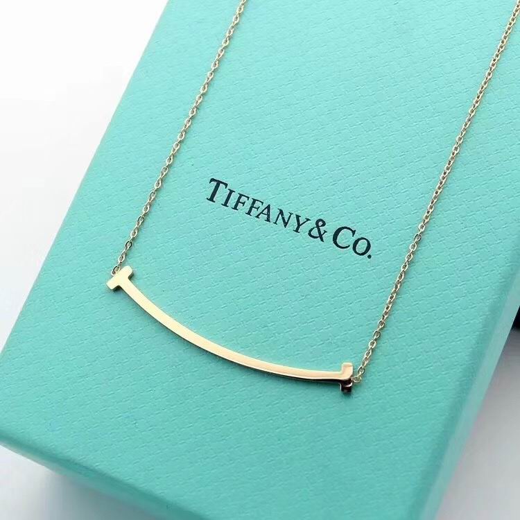Tiffany&Co Necklaces 47